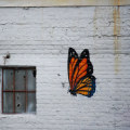 The Vibrant World of Street Art