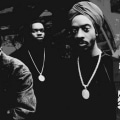 Uncovering the Influential Hip Hop Group, Slum Village